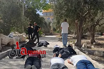 ماذا يعني "السجود الملحمي" بالمسجد الأقصى ورفع سعف النخيل؟