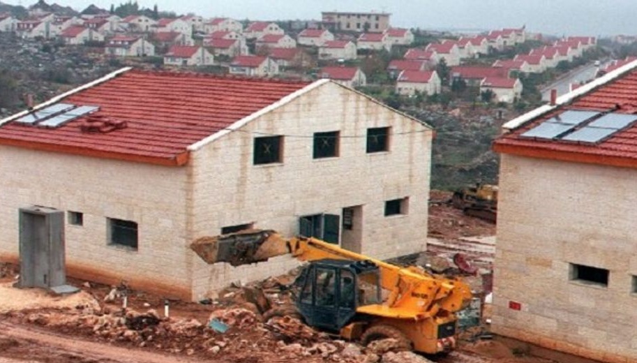 بقرة تتحرك بأمر الله وترسم الحدود.. ماذا يحدث في الضفة