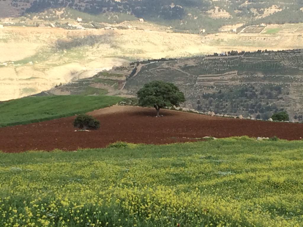 جلعاد لمن يجرؤ.