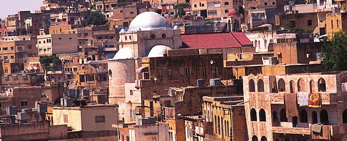 د.جمال الدباس يكتب : على هامش سهرة سلطية