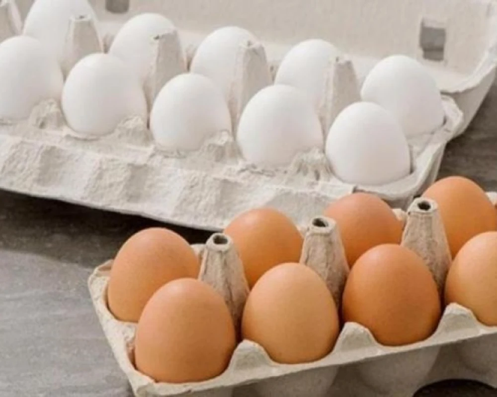 دراسة تكشف الأفضل للصحة.. البيض البني أم الأبيض؟