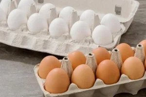 دراسة تكشف الأفضل للصحة.. البيض البني أم الأبيض؟