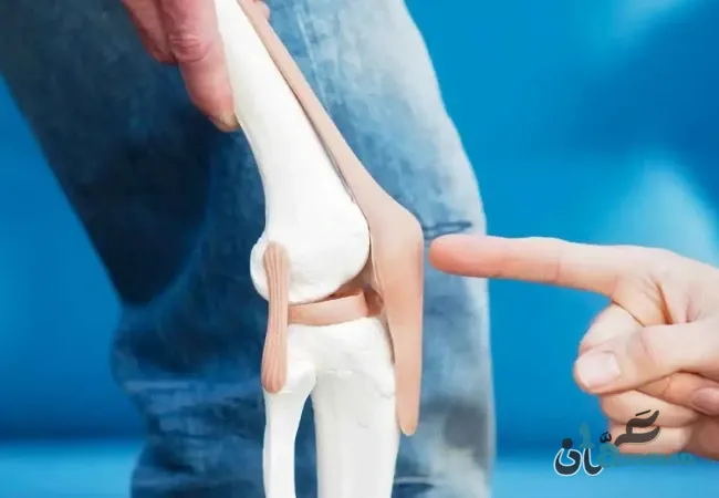 لأول مرة.. تقنيات تعيد بناء الغضاريف التالفة