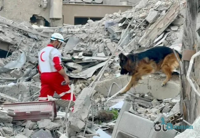 الصين تقدم مساعدات بقيمة 200 ألف دولار إلى الهلال الأحمر الإيراني