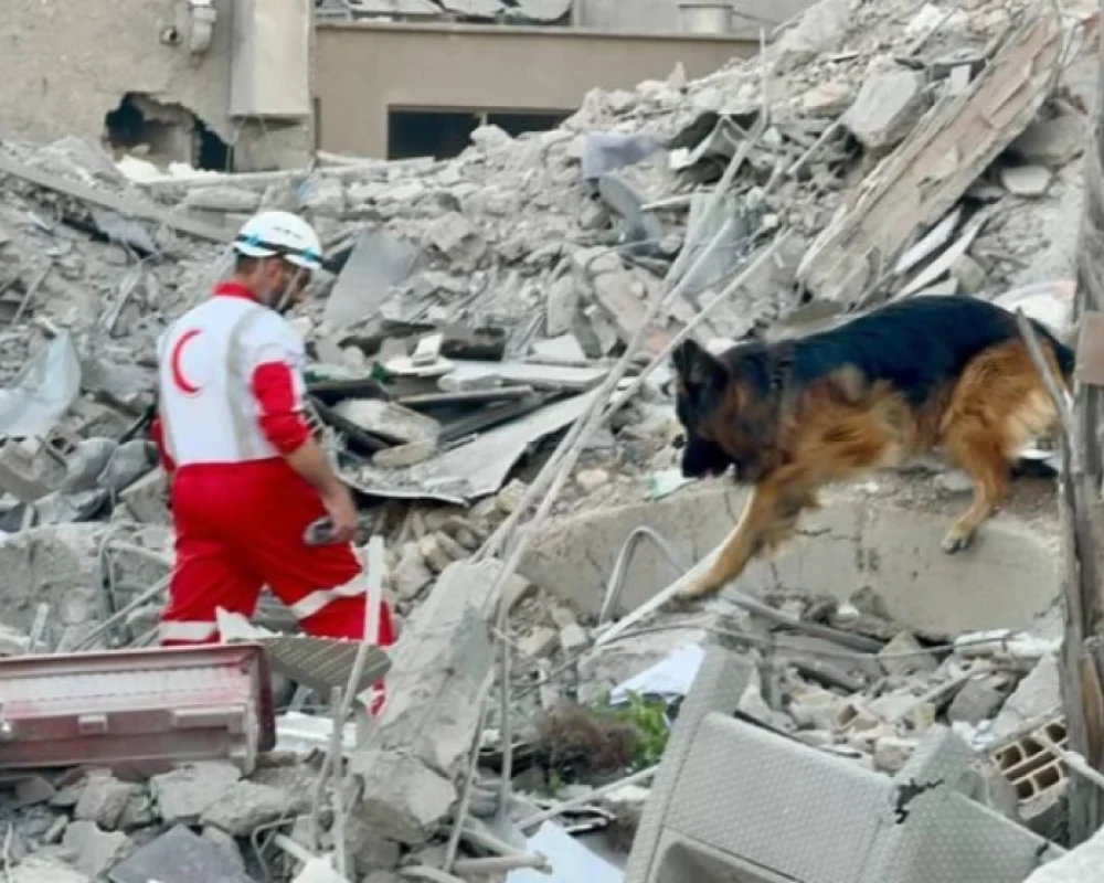 الصين تقدم مساعدات بقيمة 200 ألف دولار إلى الهلال الأحمر الإيراني