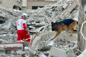 الصين تقدم مساعدات بقيمة 200 ألف دولار إلى الهلال الأحمر الإيراني