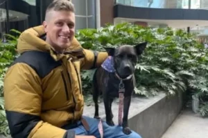 رجل شغل الإنترنت.. استخدم الـ AI لصنع لقاح سرطان شفى كلبته