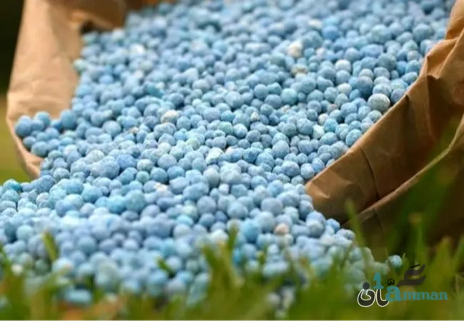 أزمة غذاء في أوروبا بسبب حرب إيران