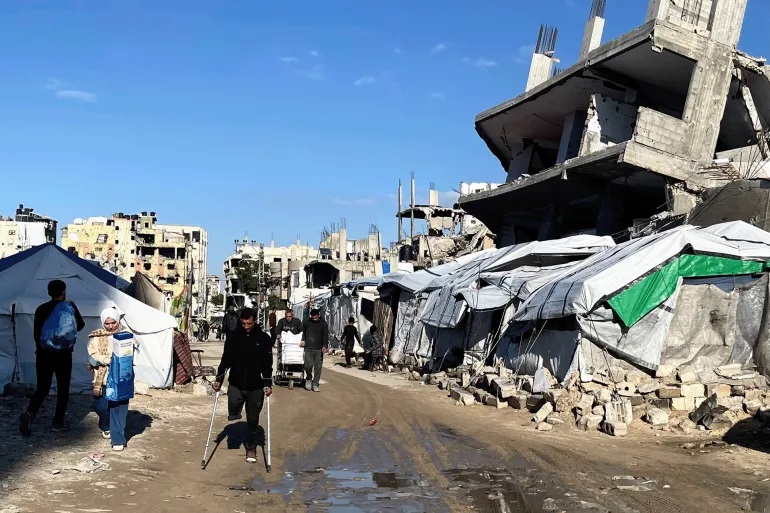 غزة على حافة تفشي الأوبئة مع تصاعد خطر القوارض