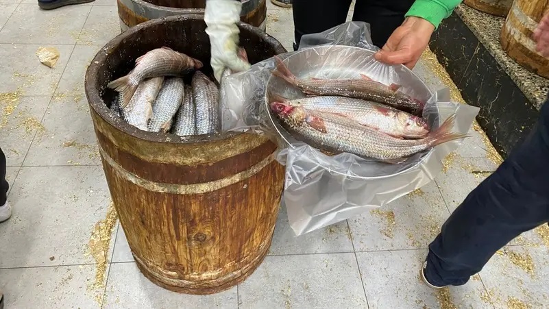 ظاهرة منذ عشرات السنين.. سر مدينة يقصدها المصريون قبل شم النسيم