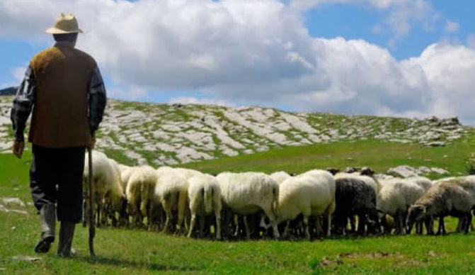 قصة مؤذن الاغنام