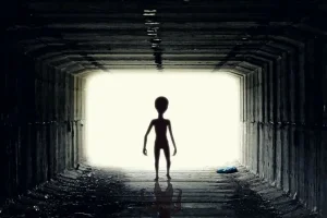 بعد قرار ترامب.. اختفاء غامض لأرشيف الكائنات الفضائية