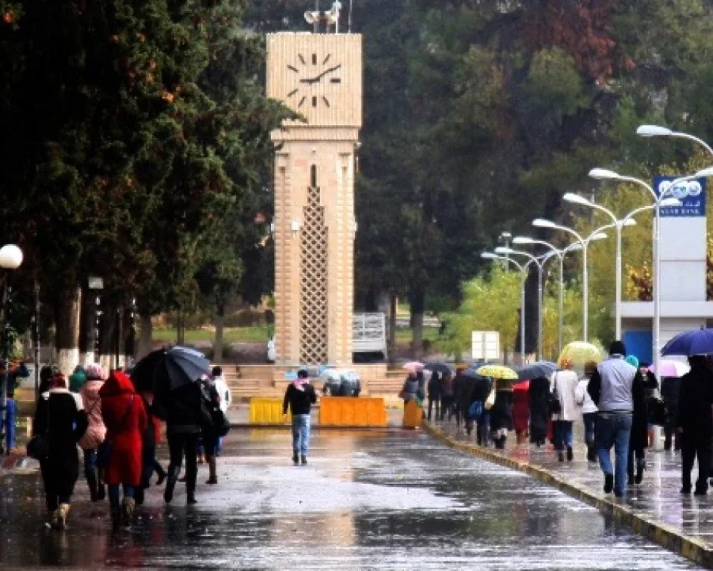 الجامعة الأردنية.. دكتوراة تائهة