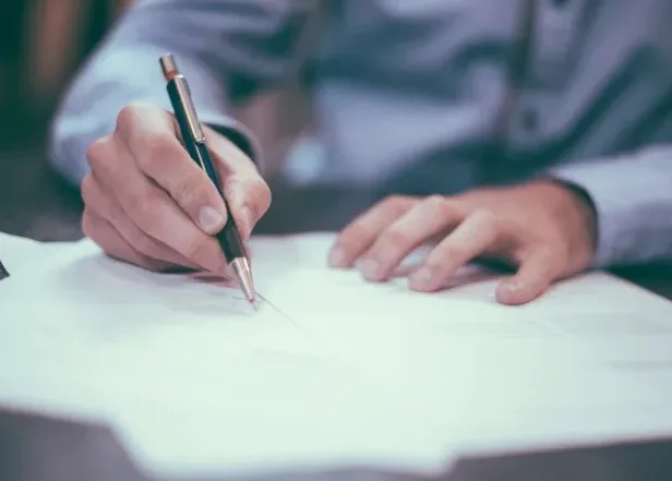 عندما يهرب القائد تتبعه الفئران